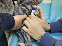 -佳怡动物医院·平价24小时·猫专科骨外科