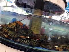 -春园海鲜广场D区6号(钟姐海鲜加工店)