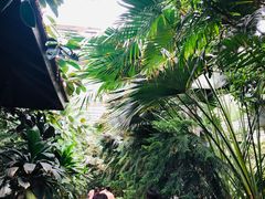 -龙达温泉生态城