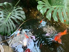 -聚缘堂·海鲜私房菜(松岭路店)