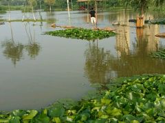 android_upload_pic-前关湿地公园