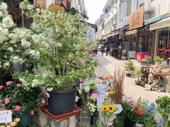 -苏州市皮市街花鸟工艺品市场