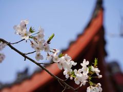 -堤角公园