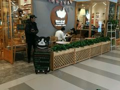 -猫的天空之城概念书店(印象城购物中心店)