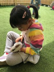 -萌宠亲子动物乐园(槐房万达店)