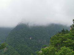 -牛背梁国家森林公园