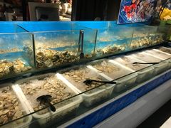 -深海800米海鲜自助(万达广场店)