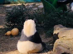 -天目湖御水温泉·度假酒店