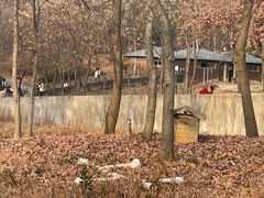 -合肥野生动物园
