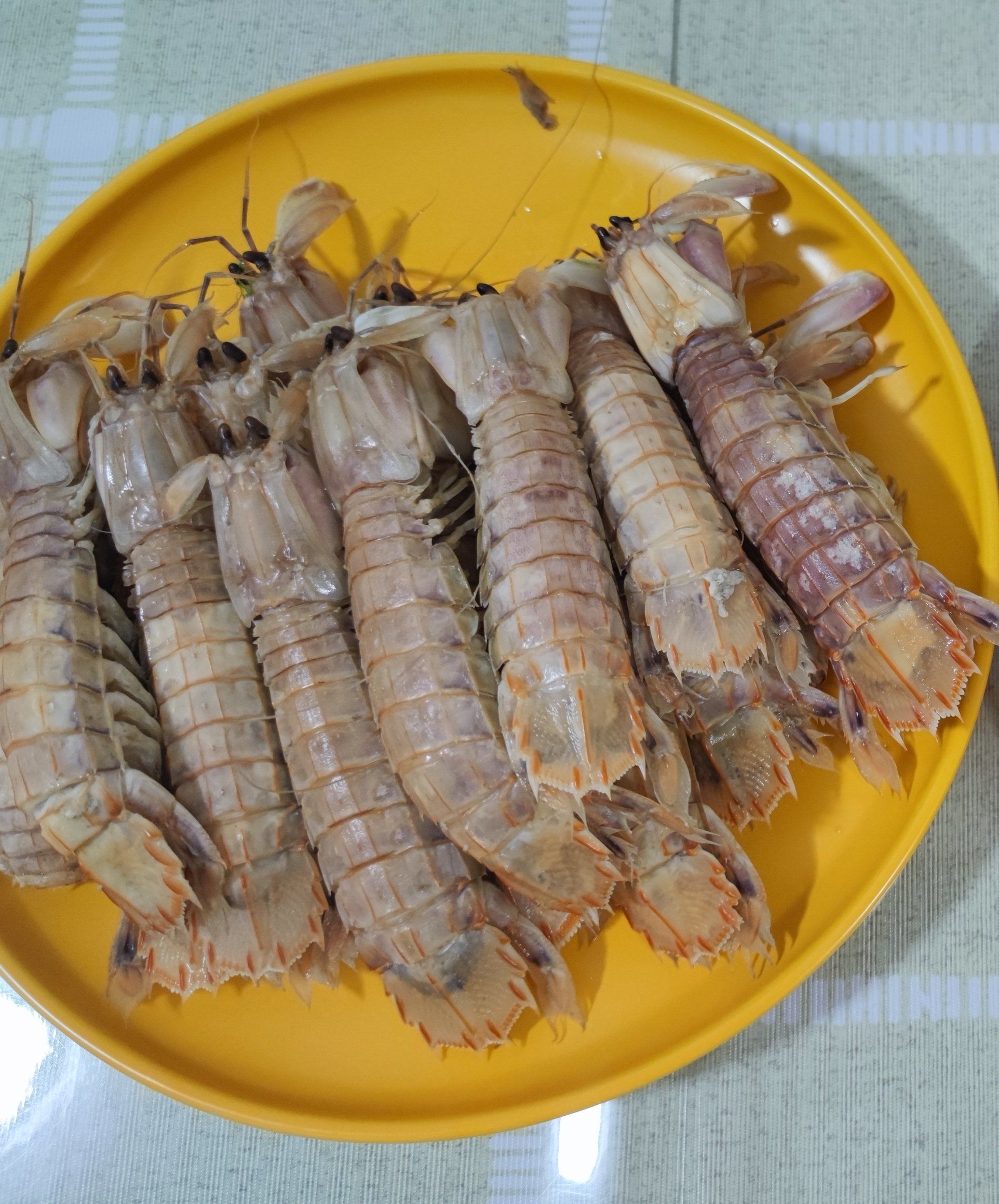 湖海季赏味指南来盘子虾爬子!