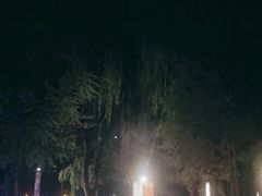 -枫花园汽车电影院(朝阳公园店)