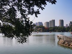 -青枫公园