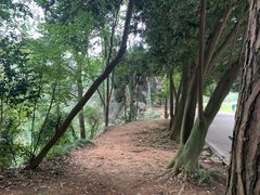 -保利石象湖景区