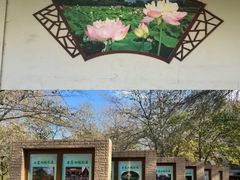 -莲花池公园