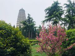 -西安青龙寺遗址景区