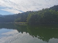 -庐山风景区花径公园