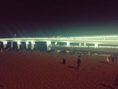 -演武大桥观景平台