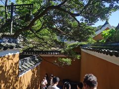 -普陀山风景区-佛顶山