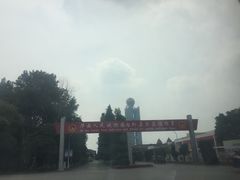 -华西村