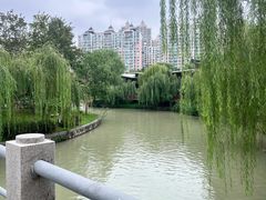 -徽园