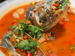 -坛宗剁椒鱼头(河西王府井店)