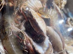 -大锅强·蒸海鲜青岛菜(吾悦广场店)