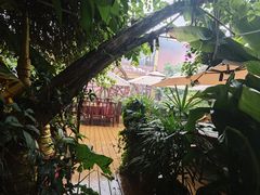 -品德宏·孔雀宴的发源地(金塔园店)