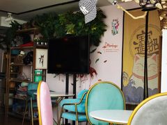 -这儿没有猫·猫咖萌宠馆·撸猫