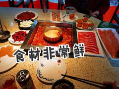 -二荆条·蜀鲜汇城市森林火锅