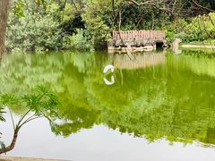 -深圳国际园林花卉博览园