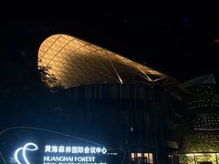 -黄海国家森林公园