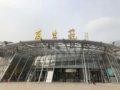 -北京植物园-展览温室