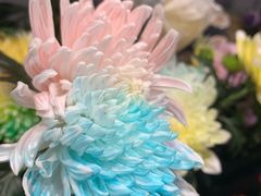 -盒马鲜生(189购物中心店)