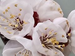 -苏州大学附属第二医院(三香院区)