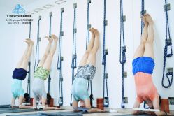 -广州萨谛艾扬格瑜伽中心