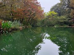 -句容茅山景区