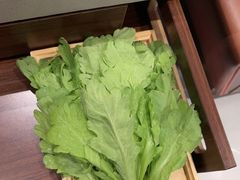 -蝎王府羊蝎子(虎坊桥总店)
