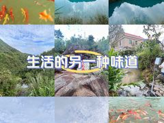 -军营村