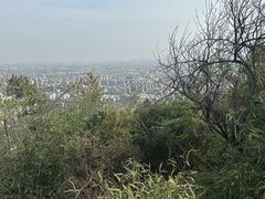 -杭州半山国家森林公园