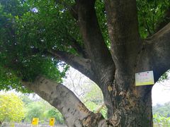 -晓港公园