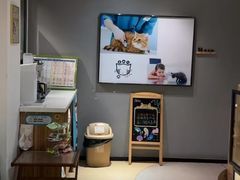 -御宝贝·A梦猫科宠物医院(国际猫友好医院)