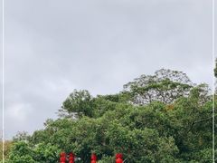 -顺峰山公园