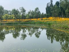 -东郊湿地公园