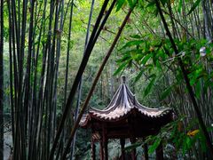 -蜀南竹海景区