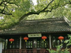 -上海醉白池公园