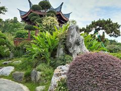 -东莞植物园