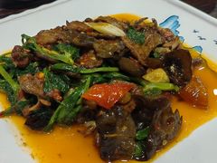 -陈麻婆豆腐(旗舰店)