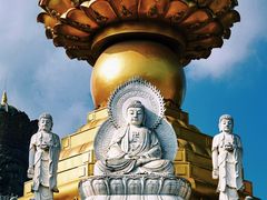 -上海东林寺(金山区)