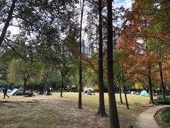 -苏州河梦清园环保主题公园