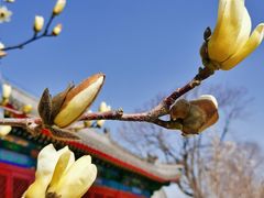 -西海子公园
